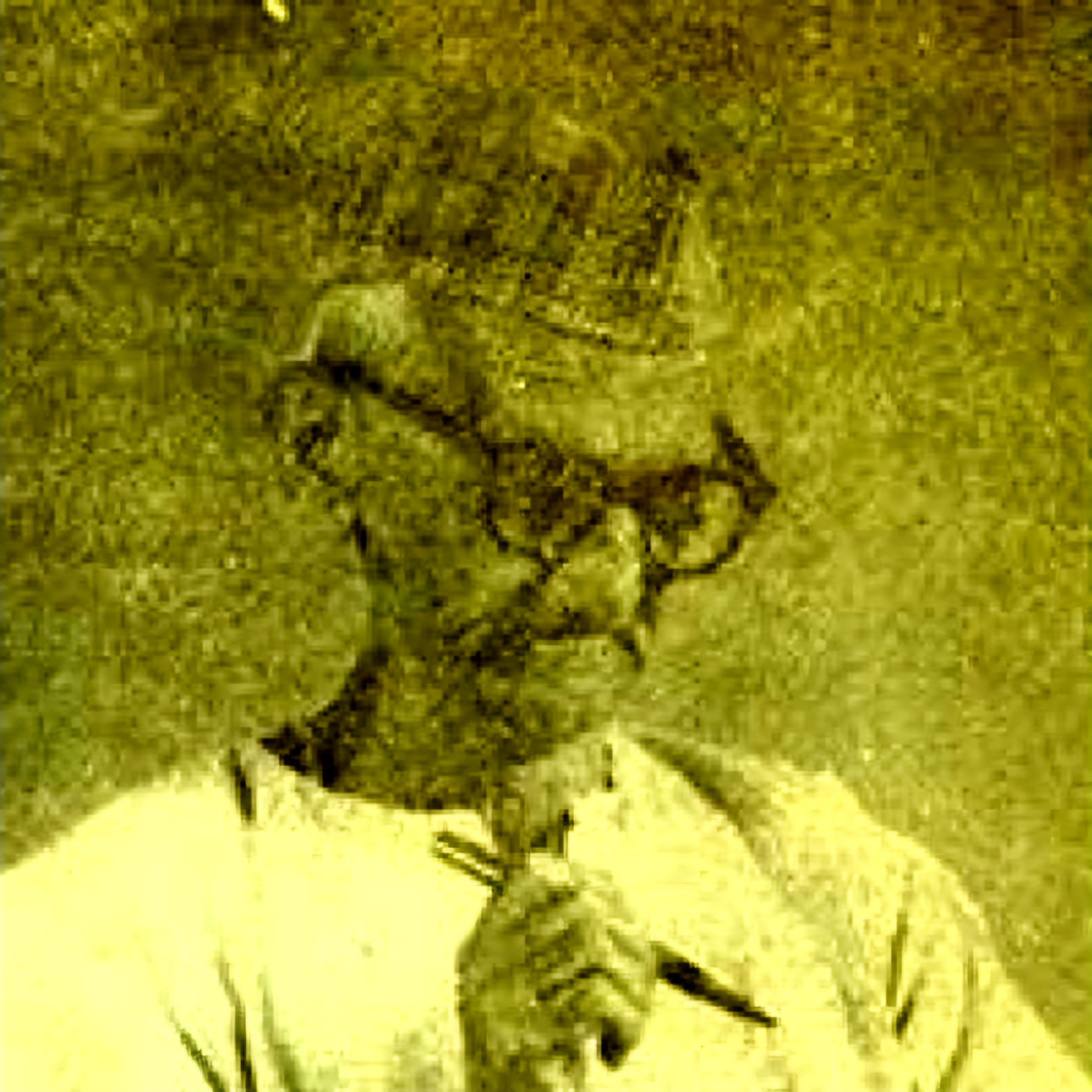 علامہ امر چند قیس جالندھری